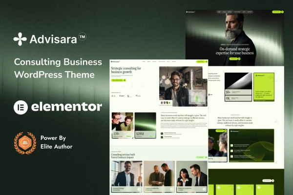 Advisara consulting business WordPress theme preview