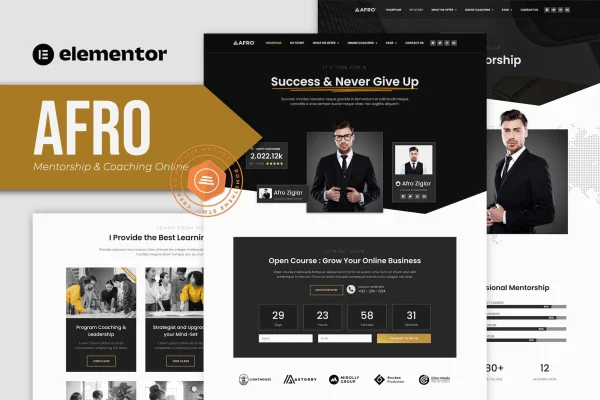 AFRO mentorship and coaching Elementor template kit preview