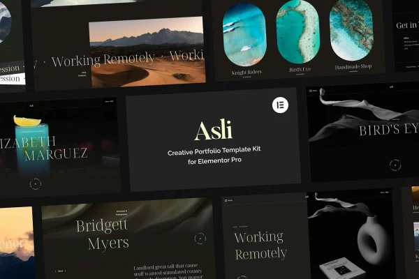 Asli creative portfolio Elementor Pro template kit preview