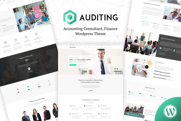Auditing accounting and finance consultant WordPress theme preview