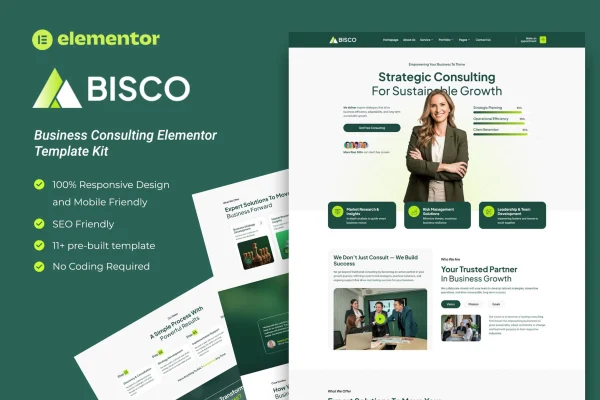 Bisco business consulting Elementor template kit preview