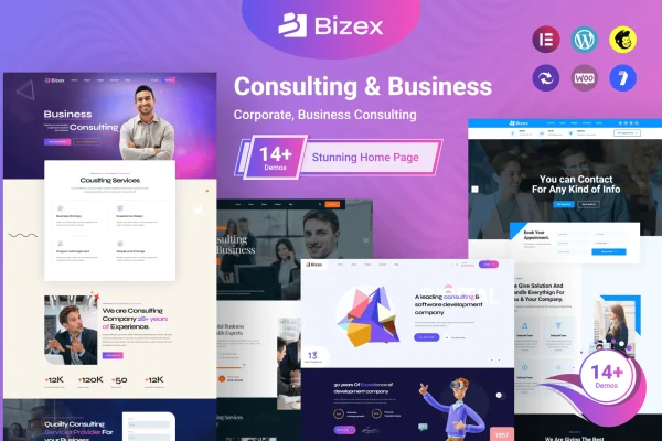 Bizex business consulting WordPress theme preview