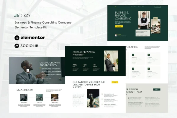 Bizzy business and finance consulting Elementor template kit preview