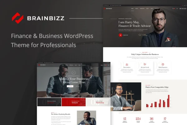 BrainBizz finance and business WordPress theme preview