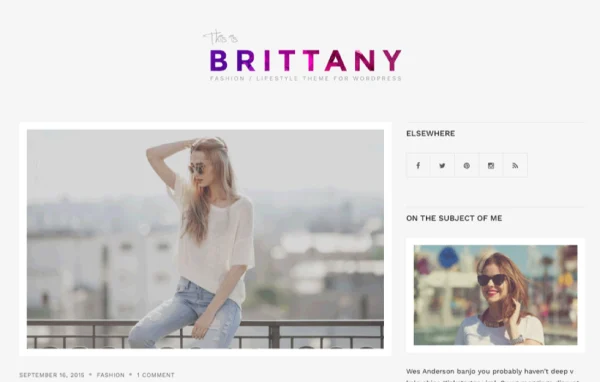Brittany WordPress blog theme by CSSIgniter cover image