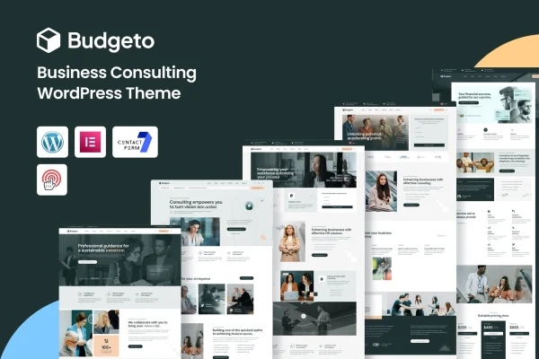 Budgeto business consulting WordPress theme preview