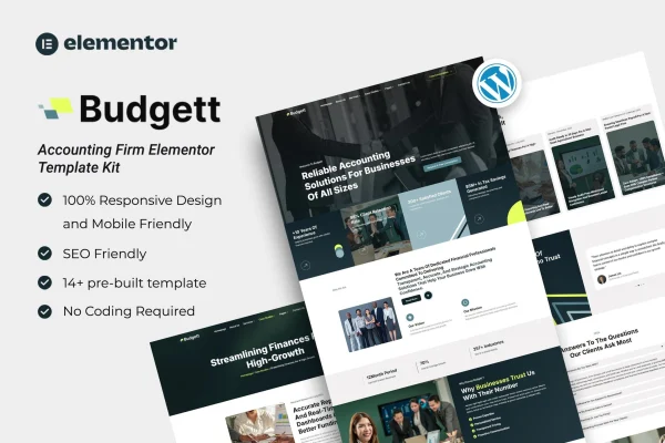 Budgett accounting firm Elementor template kit preview