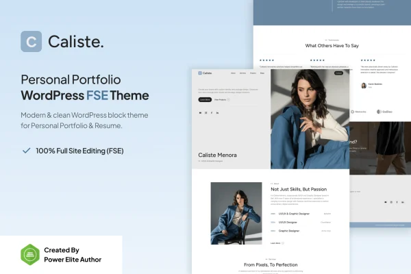 Caliste personal portfolio and resume WordPress theme preview