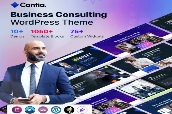 Cantia business consulting WordPress theme preview