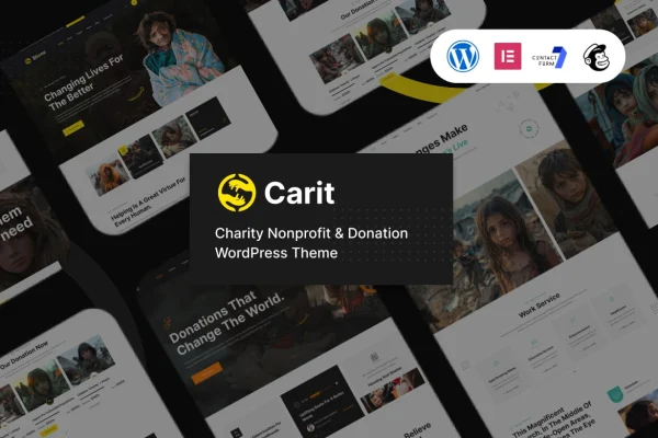 Carit charity and donation WordPress theme preview