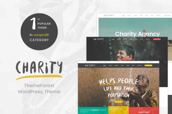 Charity WordPress Theme preview showing a nonprofit website layout with donation causes