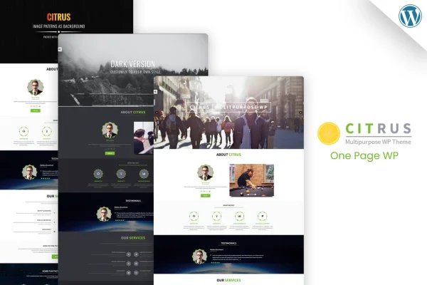 Citrus one page WordPress theme preview