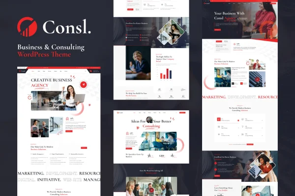 Consl consulting business WordPress theme preview
