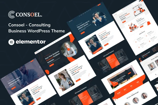 Consoel consulting business WordPress theme preview