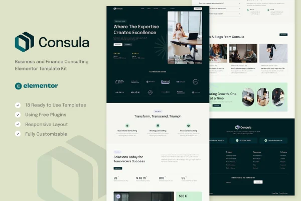Consula business and finance consulting Elementor template kit preview