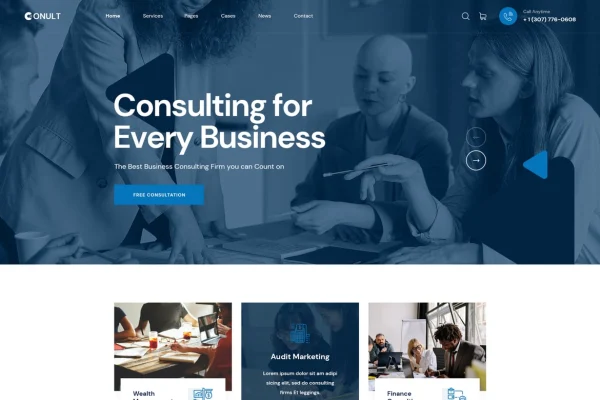 Conult consulting business WordPress theme preview
