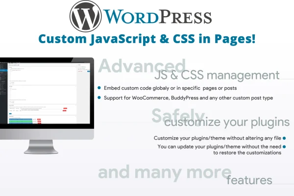Custom JavaScript & CSS in Pages! plugin banner