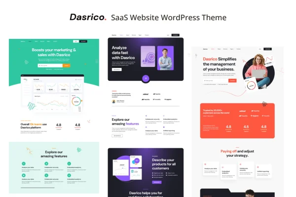 Dasrico SaaS website WordPress theme preview