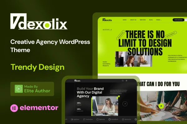 Dexolix digital agency WordPress theme preview