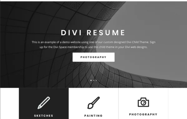 Divi Resume child theme preview showing a personal resume and portfolio website layout