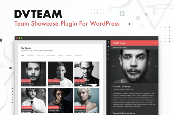 DV Team plugin banner showing a team member showcase layout