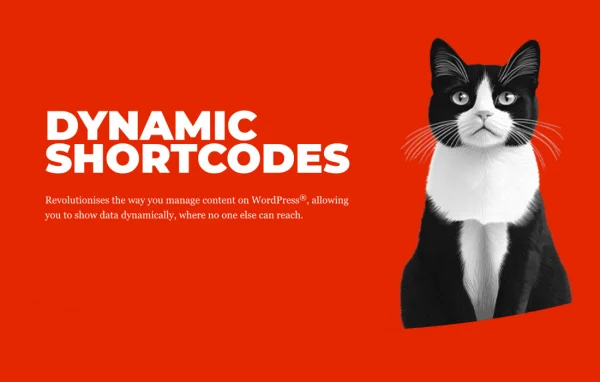 Dynamic Shortcodes WordPress plugin banner