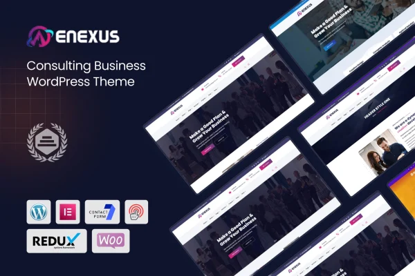 Enexus consulting business WordPress theme preview