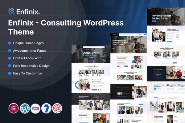 Enfinix consulting WordPress theme preview