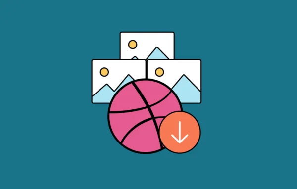 Envira Gallery - Dribbble Addon plugin banner
