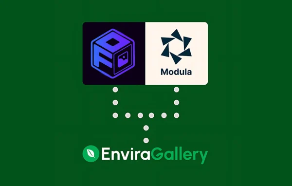 Envira Gallery - Importer Addon plugin banner
