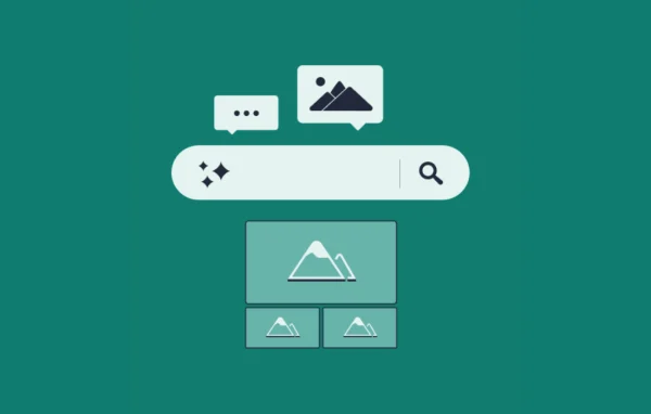 Envira Gallery - Search Addon plugin banner