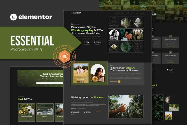 Essential photography and NFT portfolio Elementor template kit preview