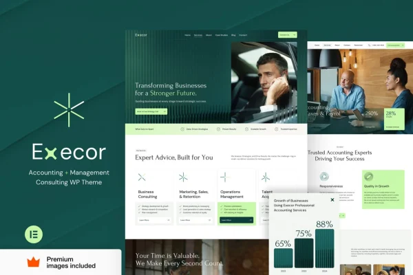 Execor accounting and management consulting WordPress theme preview