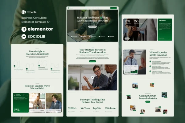 Experta business consulting Elementor template kit preview