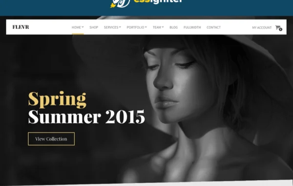 Flevr WordPress theme by CSSIgniter cover image