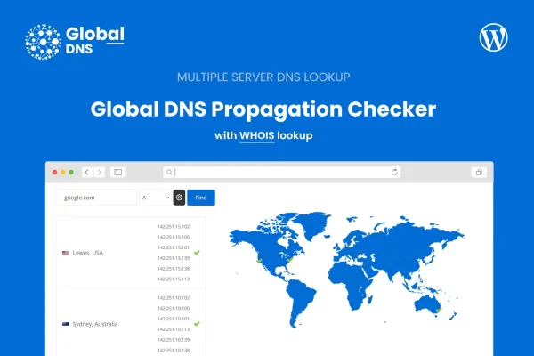 Global DNS plugin banner showing DNS propagation results across worldwide servers