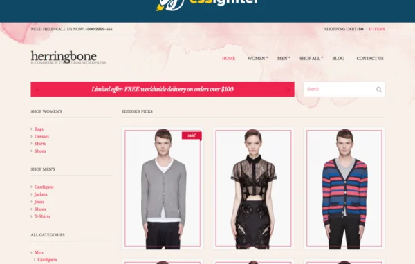 Herringbone WordPress theme preview showing a fashion store layout