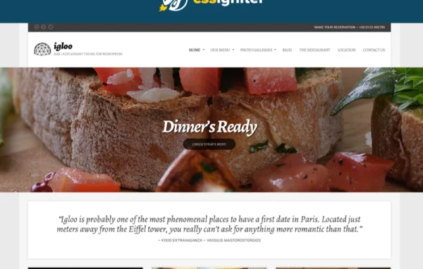 Igloo restaurant and cafe WordPress theme preview