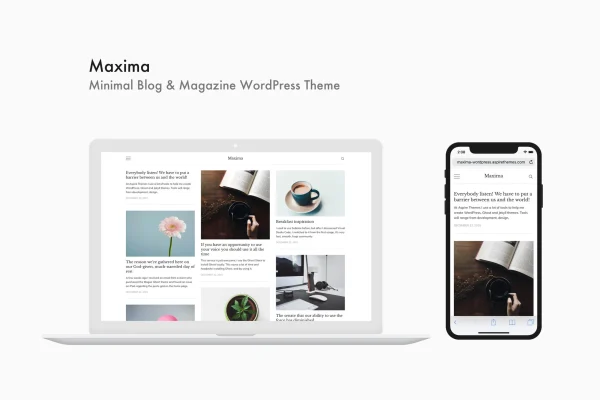 Maxima minimal blog and magazine WordPress theme preview