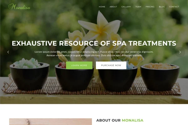 Monalisa health and beauty spa WordPress theme preview