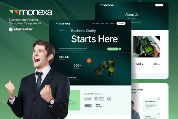 Monexa business and finance consulting Elementor template kit preview