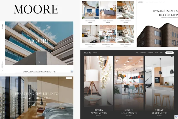 Moore single property WordPress theme preview with apartment homepage layout