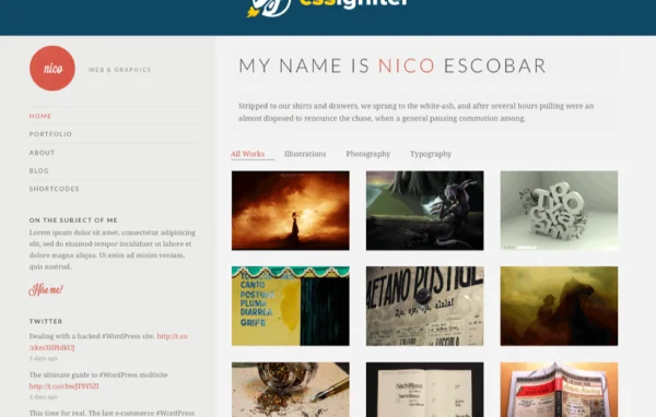 Nico WordPress theme preview showing a minimal photography portfolio layout