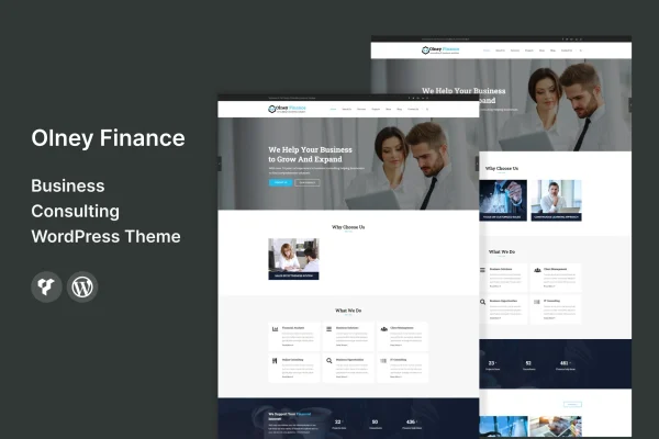 Olney Finance business consulting WordPress theme preview