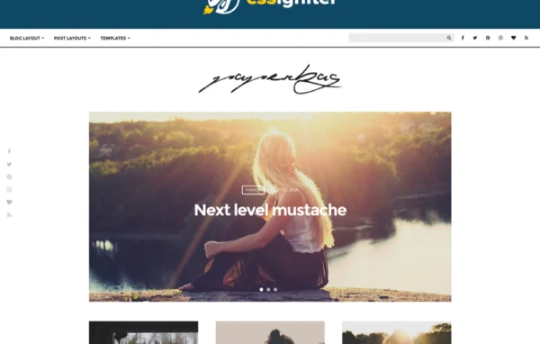 Paperbag WordPress blog theme by CSSIgniter preview