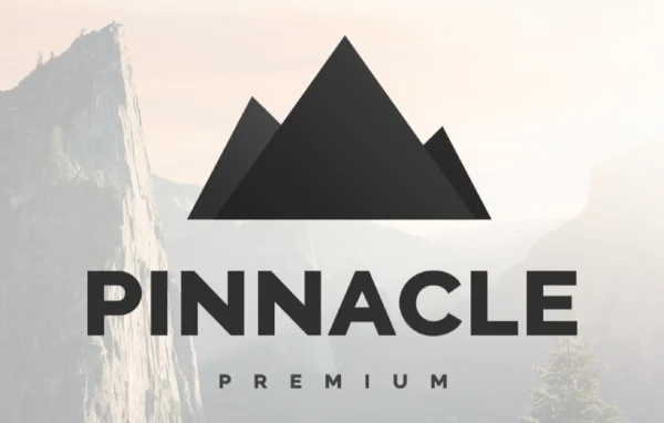 Pinnacle Premium WordPress theme by Kadence WP cover image