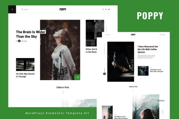 Poppy blog and magazine Elementor template kit preview