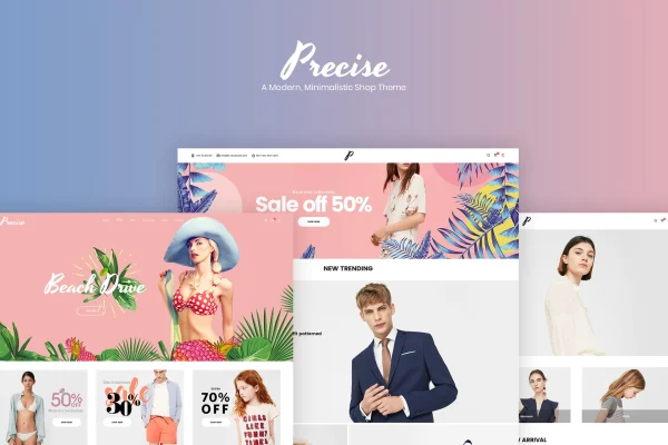 Precise minimalist WooCommerce shop theme preview
