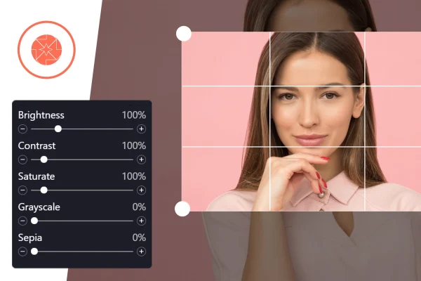 ProVision Image Editor for WordPress / WooCommerce plugin banner