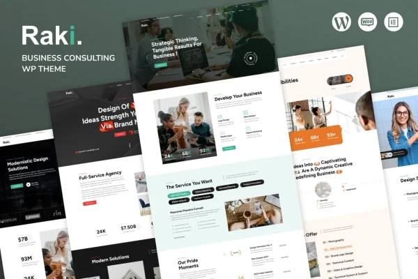 Raki business consulting WordPress theme preview